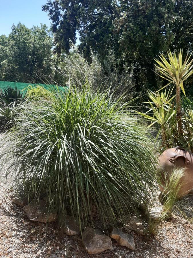 Le Calme De La Garrigue Bed and Breakfast Russan Εξωτερικό φωτογραφία