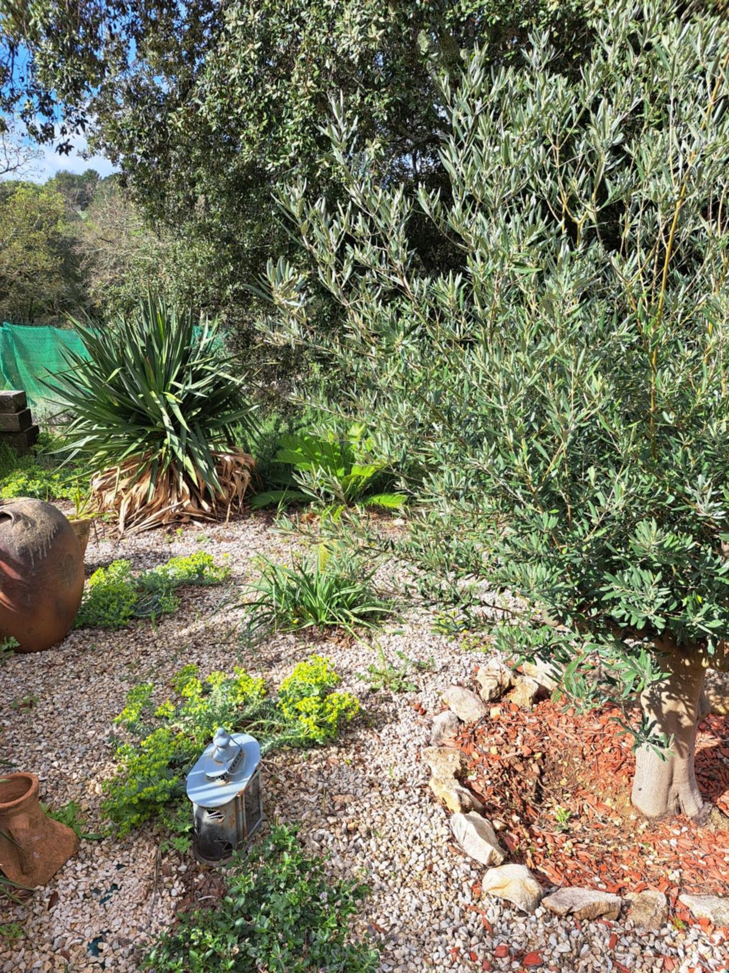 Le Calme De La Garrigue Bed and Breakfast Russan Εξωτερικό φωτογραφία