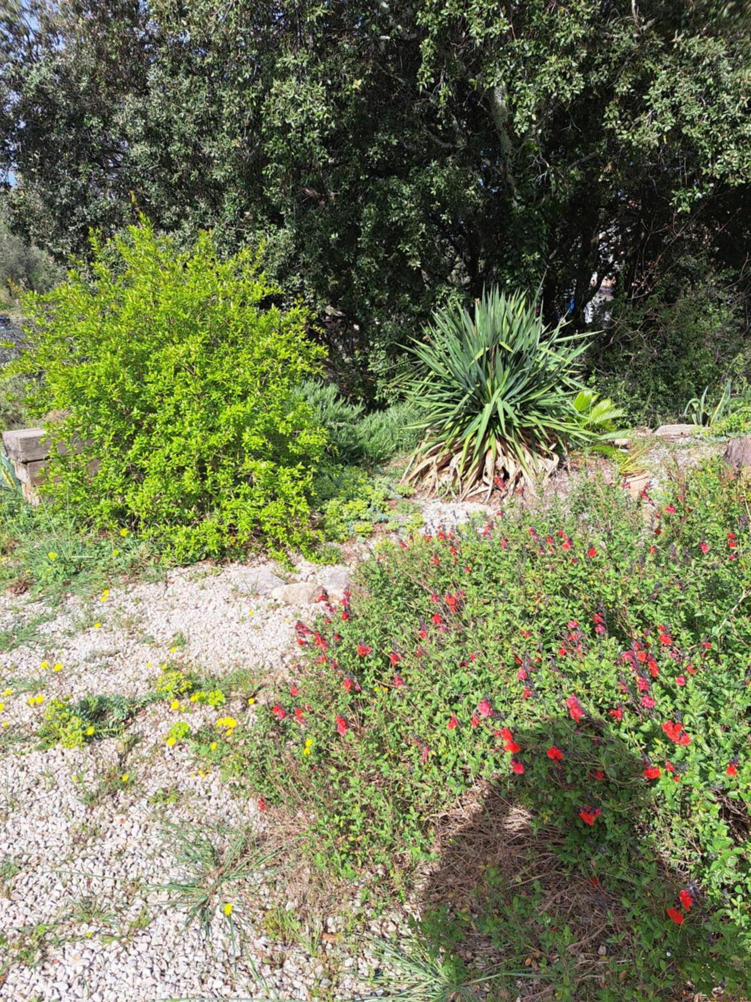 Le Calme De La Garrigue Bed and Breakfast Russan Εξωτερικό φωτογραφία