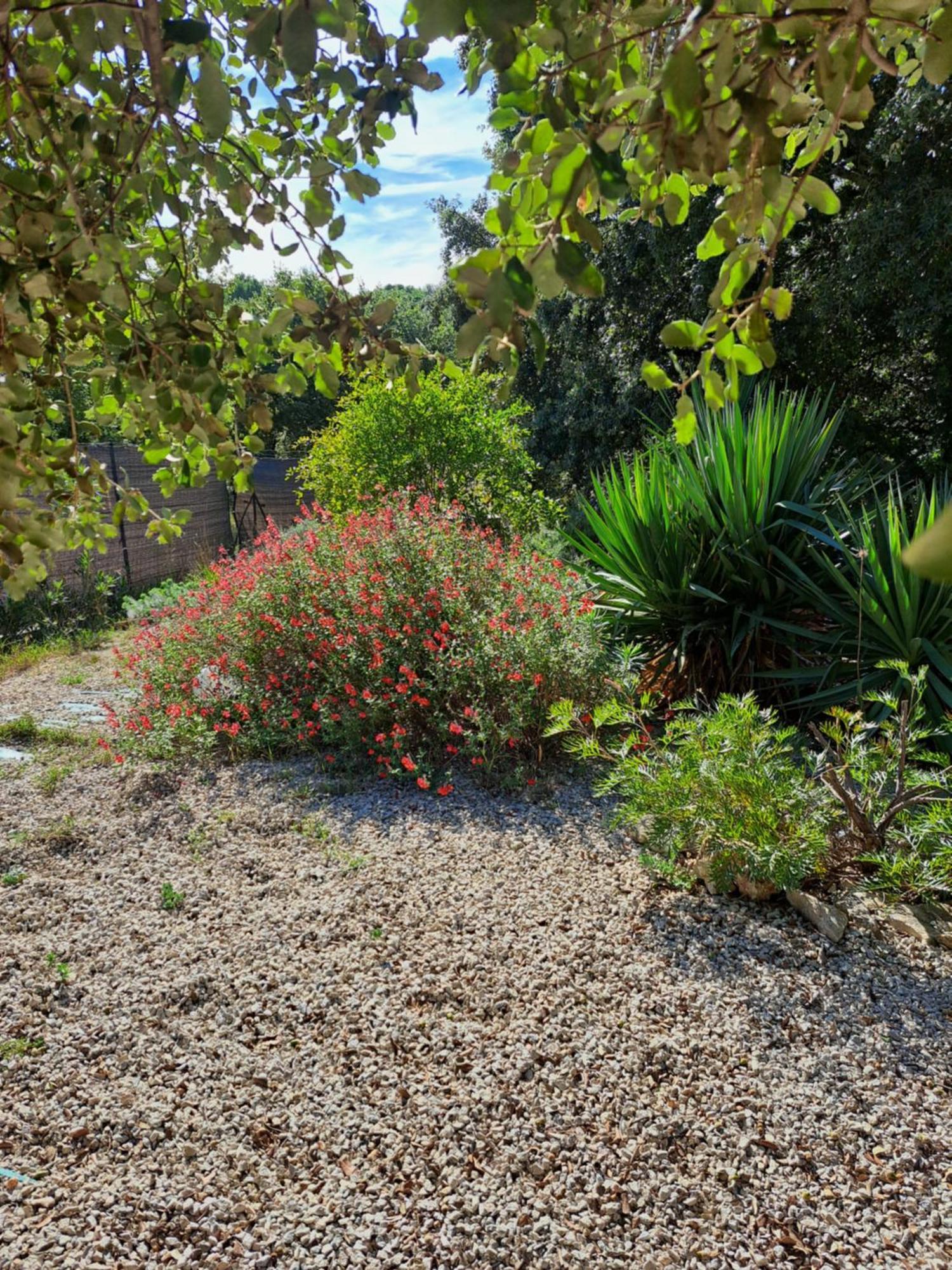 Le Calme De La Garrigue Bed and Breakfast Russan Εξωτερικό φωτογραφία